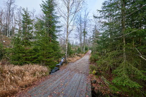 Gemeinde Sankt_Oswald-Riedlhütte Landkreis Freyung-Grafenau Großer Rachel Wanderweg (Dirschl Johann) Deutschland FRG